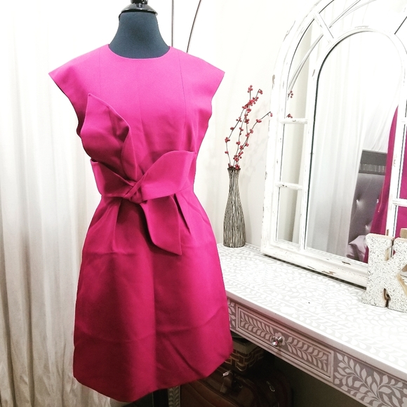 🍒NWT🍒 TED BAKER OCCASION FUCHSIA DRESS - Picture 2 of 4